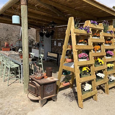 Carmey Avdat Farm Midreshet Ben Gurion 외부 사진