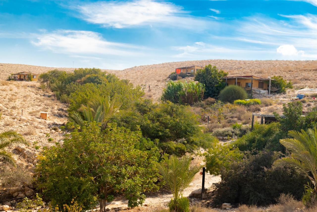 Carmey Avdat Farm Midreshet Ben Gurion 외부 사진